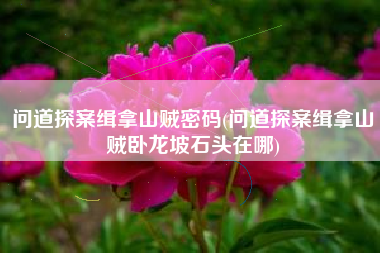 问道探案缉拿山贼密码(问道探案缉拿山贼卧龙坡石头在哪)