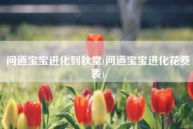 问道宝宝进化到秋堂(问道宝宝进化花费表)