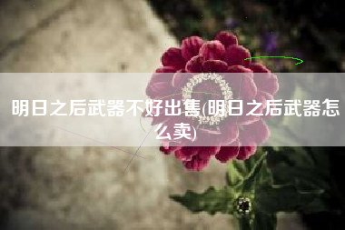 明日之后武器不好出售(明日之后武器怎么卖)