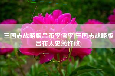 三国志战略版吕布李儒李(三国志战略版吕布太史慈许攸)