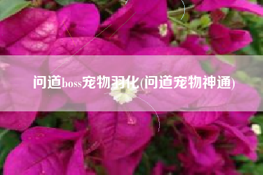 问道boss宠物羽化(问道宠物神通)