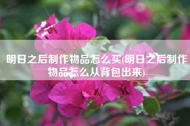 明日之后制作物品怎么买(明日之后制作物品怎么从背包出来)