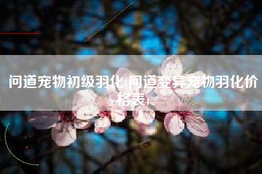 问道宠物初级羽化(问道变异宠物羽化价格表)
