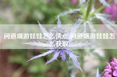 问道端游娃娃怎么洗点(问道端游娃娃怎么获取)