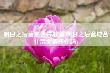 明日之后营地合并取消(明日之后营地合并后金条还在吗)