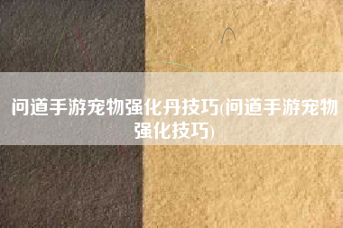 问道手游宠物强化丹技巧(问道手游宠物强化技巧)
