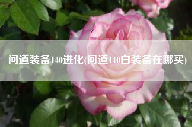 问道装备140进化(问道140白装备在哪买)