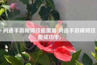 问道手游障碍技能覆盖(问道手游障碍技能成功率)