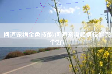 问道宠物金色技能(问道宠物顿悟技能哪个好)