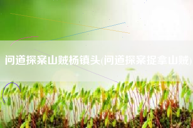 问道探案山贼杨镇头(问道探案捉拿山贼)