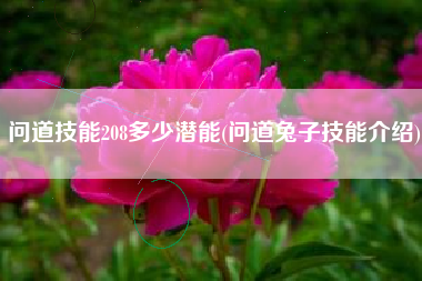 问道技能208多少潜能(问道兔子技能介绍)