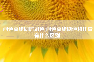 问道离线同时刷道(问道离线刷道和托管有什么区别)