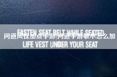 问道风怪加点手游(问道手游敏木怎么加点)