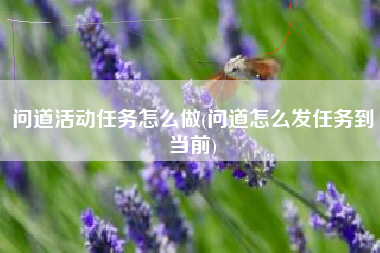 问道活动任务怎么做(问道怎么发任务到当前)