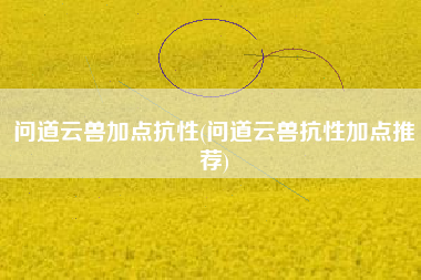 问道云兽加点抗性(问道云兽抗性加点推荐)