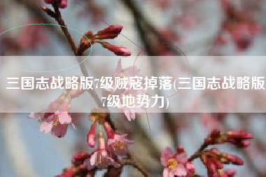 三国志战略版7级贼寇掉落(三国志战略版7级地势力)