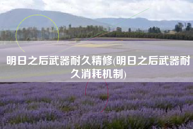 明日之后武器耐久精修(明日之后武器耐久消耗机制)