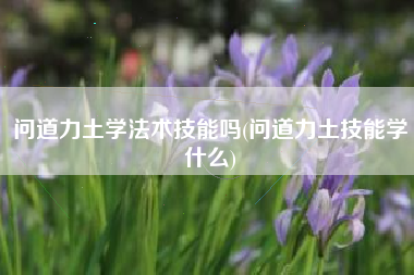 问道力土学法术技能吗(问道力土技能学什么)