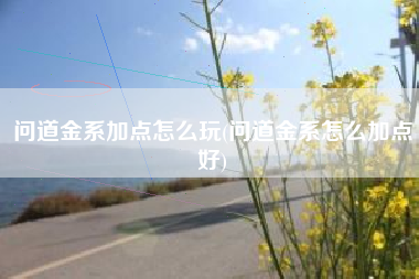 问道金系加点怎么玩(问道金系怎么加点好)