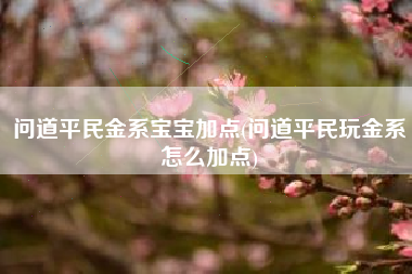 问道平民金系宝宝加点(问道平民玩金系怎么加点)
