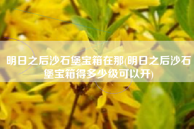 明日之后沙石堡宝箱在那(明日之后沙石堡宝箱得多少级可以开)