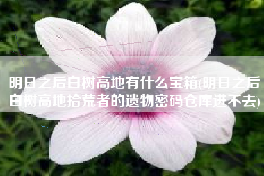 明日之后白树高地有什么宝箱(明日之后白树高地拾荒者的遗物密码仓库进不去)