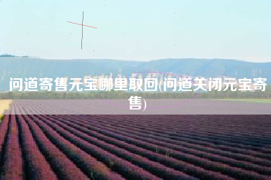 问道寄售元宝哪里取回(问道关闭元宝寄售)