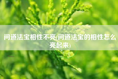 问道法宝相性不亮(问道法宝的相性怎么亮起来)