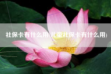 社保卡有什么用(儿童社保卡有什么用)