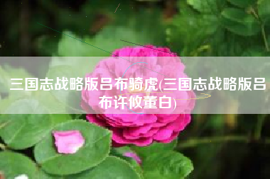 三国志战略版吕布骑虎(三国志战略版吕布许攸董白)