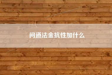 问道法金抗性加什么