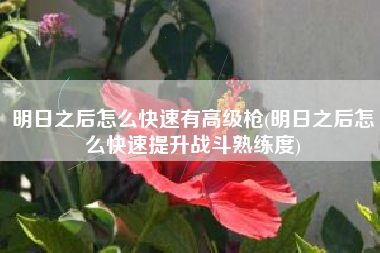 明日之后怎么快速有高级枪(明日之后怎么快速提升战斗熟练度)