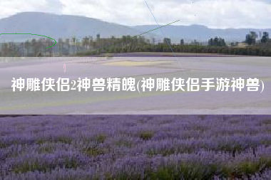 神雕侠侣2神兽精魄(神雕侠侣手游神兽)