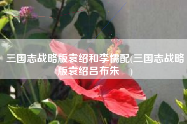 三国志战略版袁绍和李儒配(三国志战略版袁绍吕布朱儁)