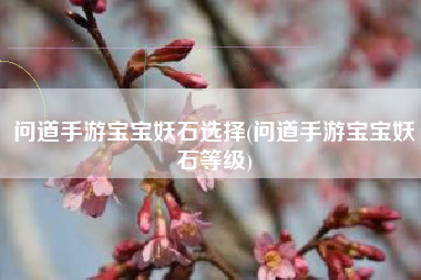 问道手游宝宝妖石选择(问道手游宝宝妖石等级)