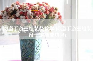 问道手游重组装备教学(问道手游重组装备一定能成功吗)