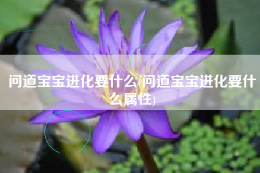 问道宝宝进化要什么(问道宝宝进化要什么属性)