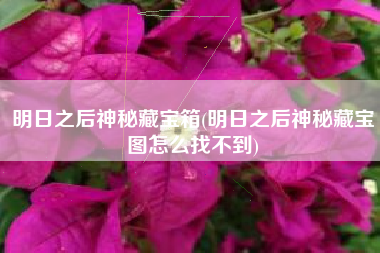明日之后神秘藏宝箱(明日之后神秘藏宝图怎么找不到)