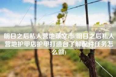 明日之后私人营地莱文市(明日之后私人营地护甲店护甲打造台了解配件任务怎么做)