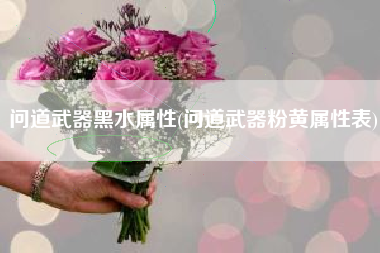 问道武器黑水属性(问道武器粉黄属性表)