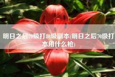 明日之后70级打80级副本(明日之后70级打本用什么枪)