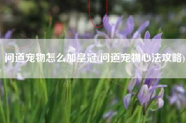 问道宠物怎么加皇冠(问道宠物心法攻略)