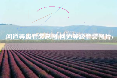 问道等级套装总图(问道等级套装图片)