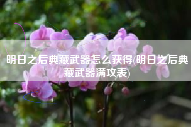 明日之后典藏武器怎么获得(明日之后典藏武器满攻表)