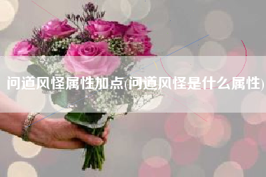问道风怪属性加点(问道风怪是什么属性)
