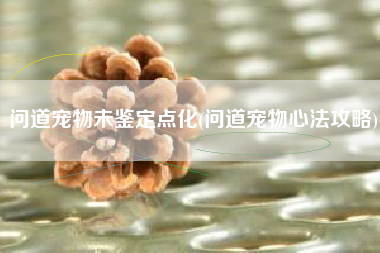 问道宠物未鉴定点化(问道宠物心法攻略)