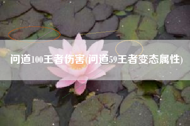 问道100王者伤害(问道59王者变态属性)