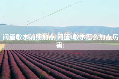 问道敏水前期加点(问道4敏水怎么加点厉害)