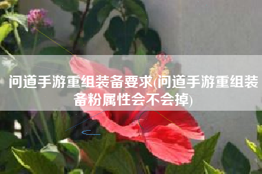 问道手游重组装备要求(问道手游重组装备粉属性会不会掉)