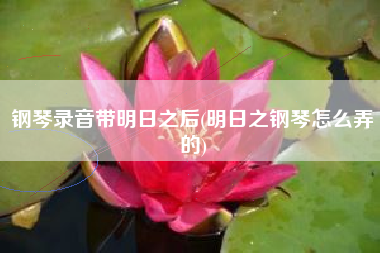 钢琴录音带明日之后(明日之钢琴怎么弄的)